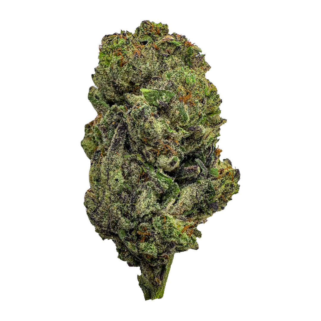 Jungle Cake - Hybrid (28 grams)