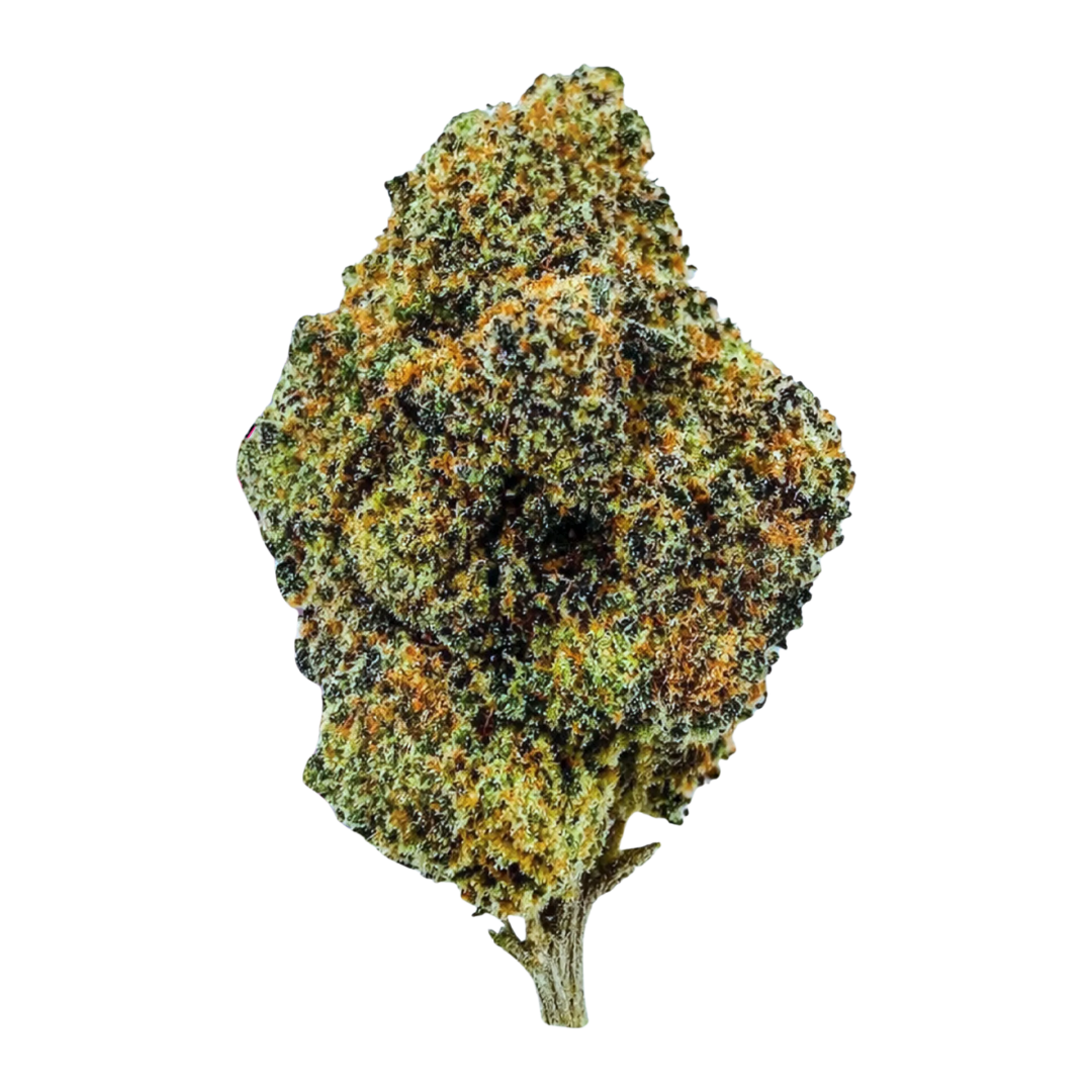 Sunset MAC - Hybrid (28 grams)