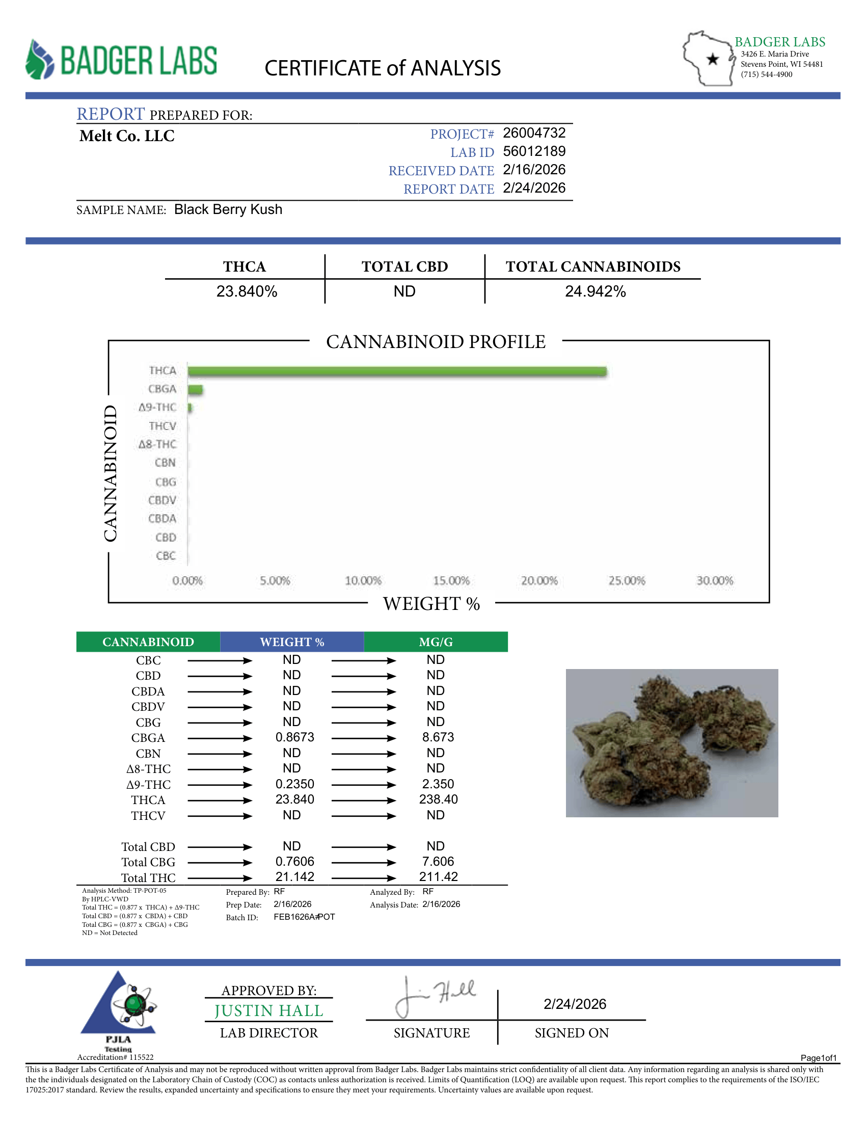 Blackberry Ku h THCA Flower – Indica Cannabi  | 3.5g Boutique Craft Flower by Melt - Melt