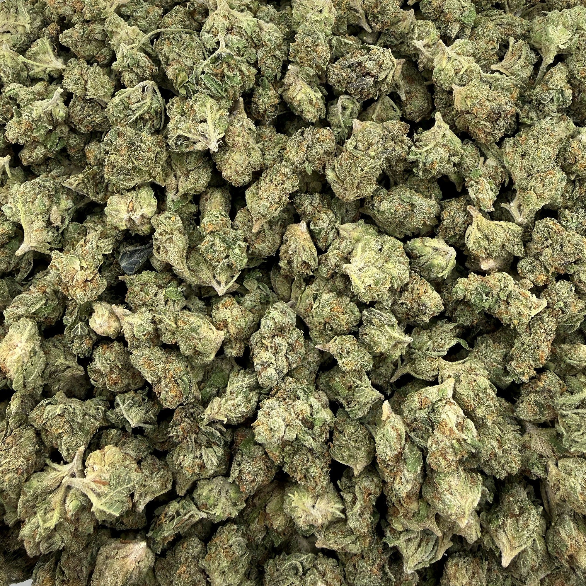 G41 smalls THCA flower — premium