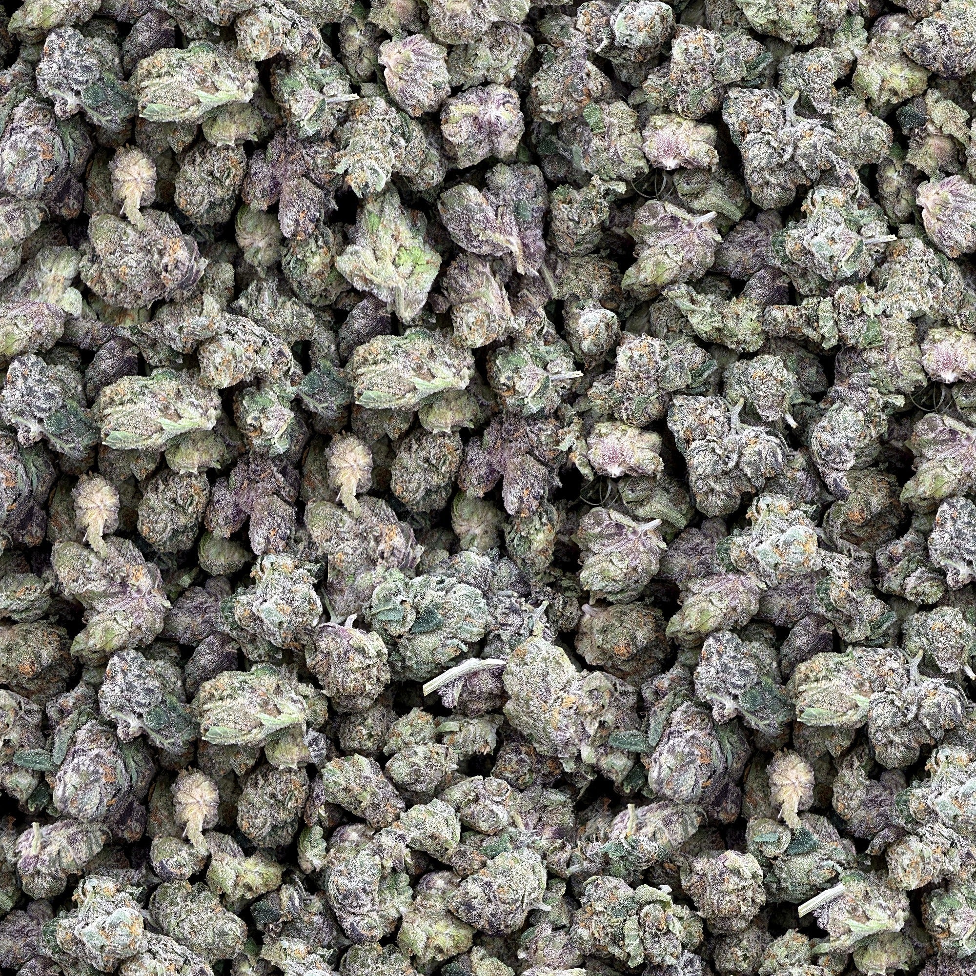 Gelati smalls THCA flower — boutique craft indoor, bulk