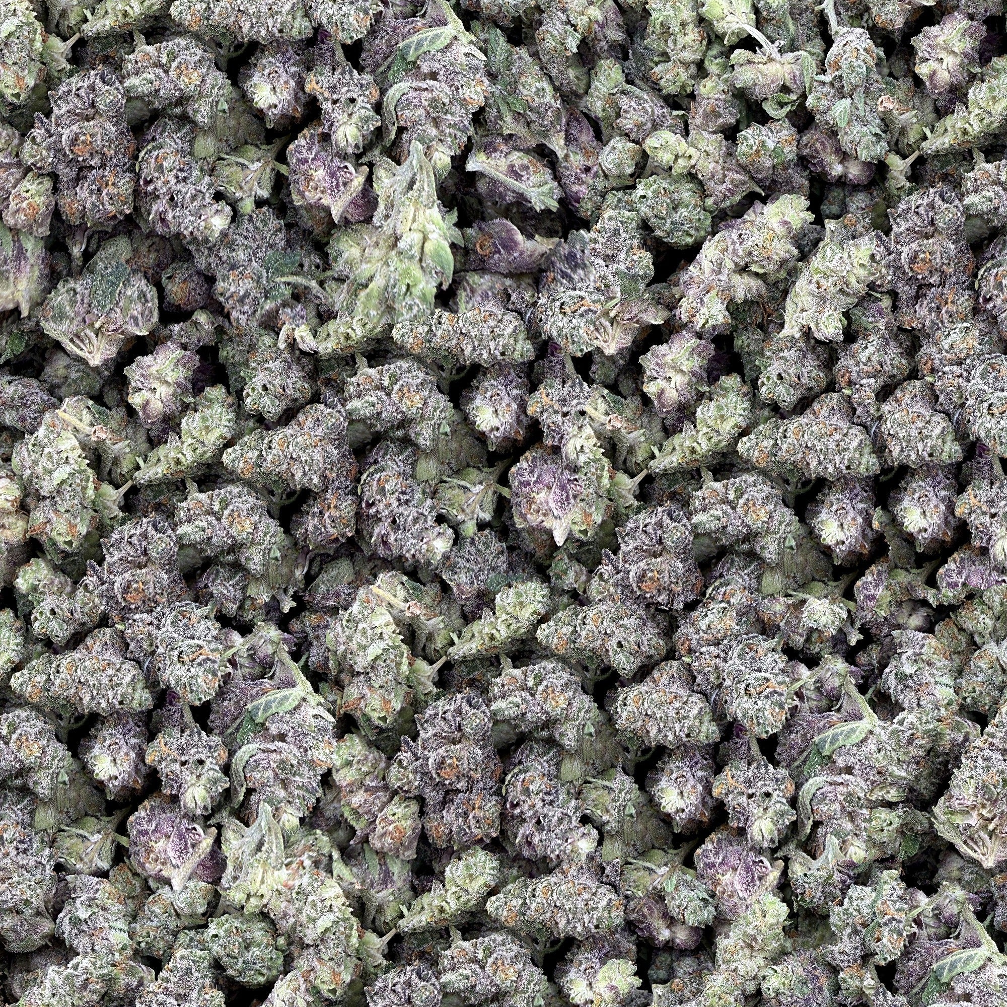 Lady Pink smalls THCA flower — boutique craft indoor, bulk