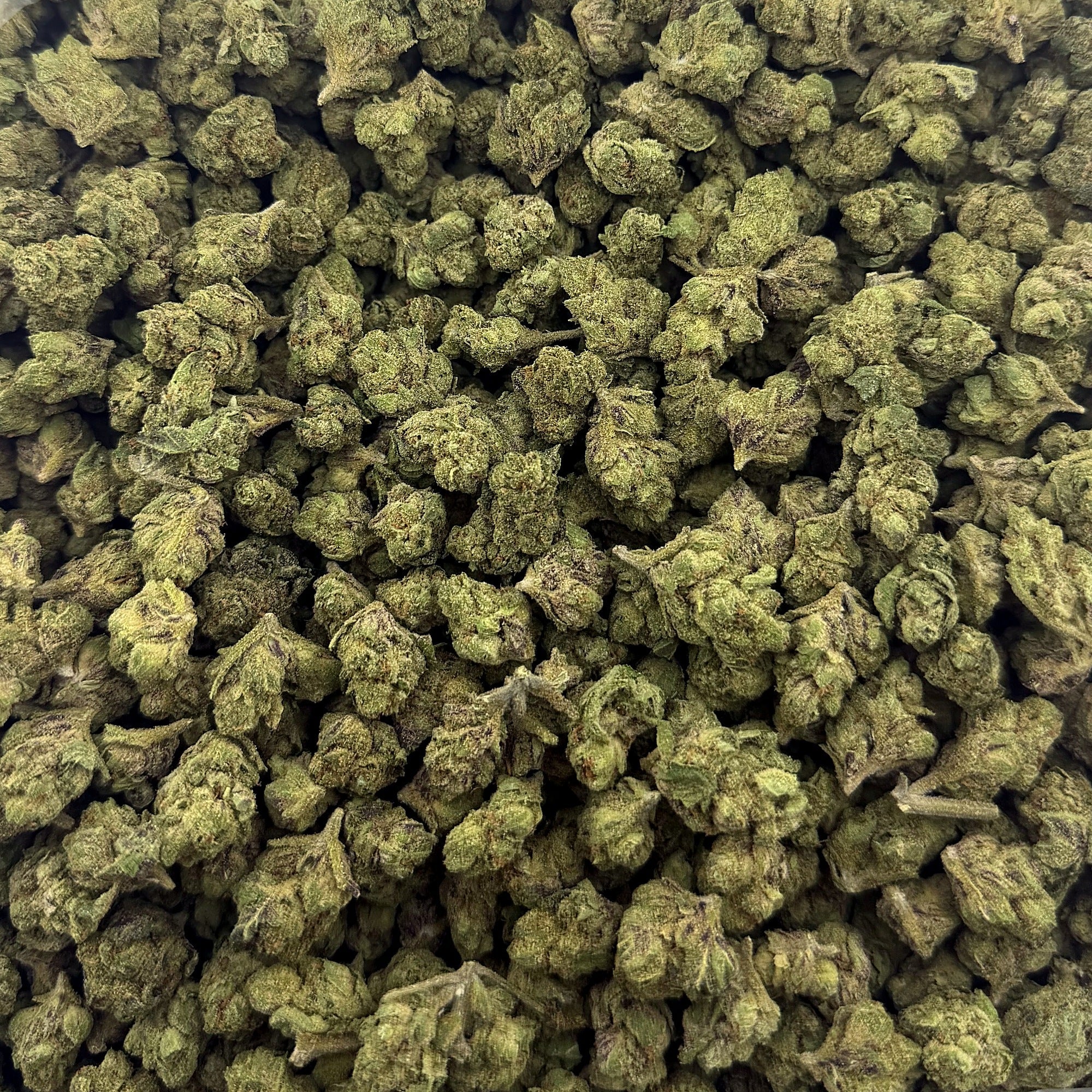 Oakland Runtz smalls THCA flower — premium