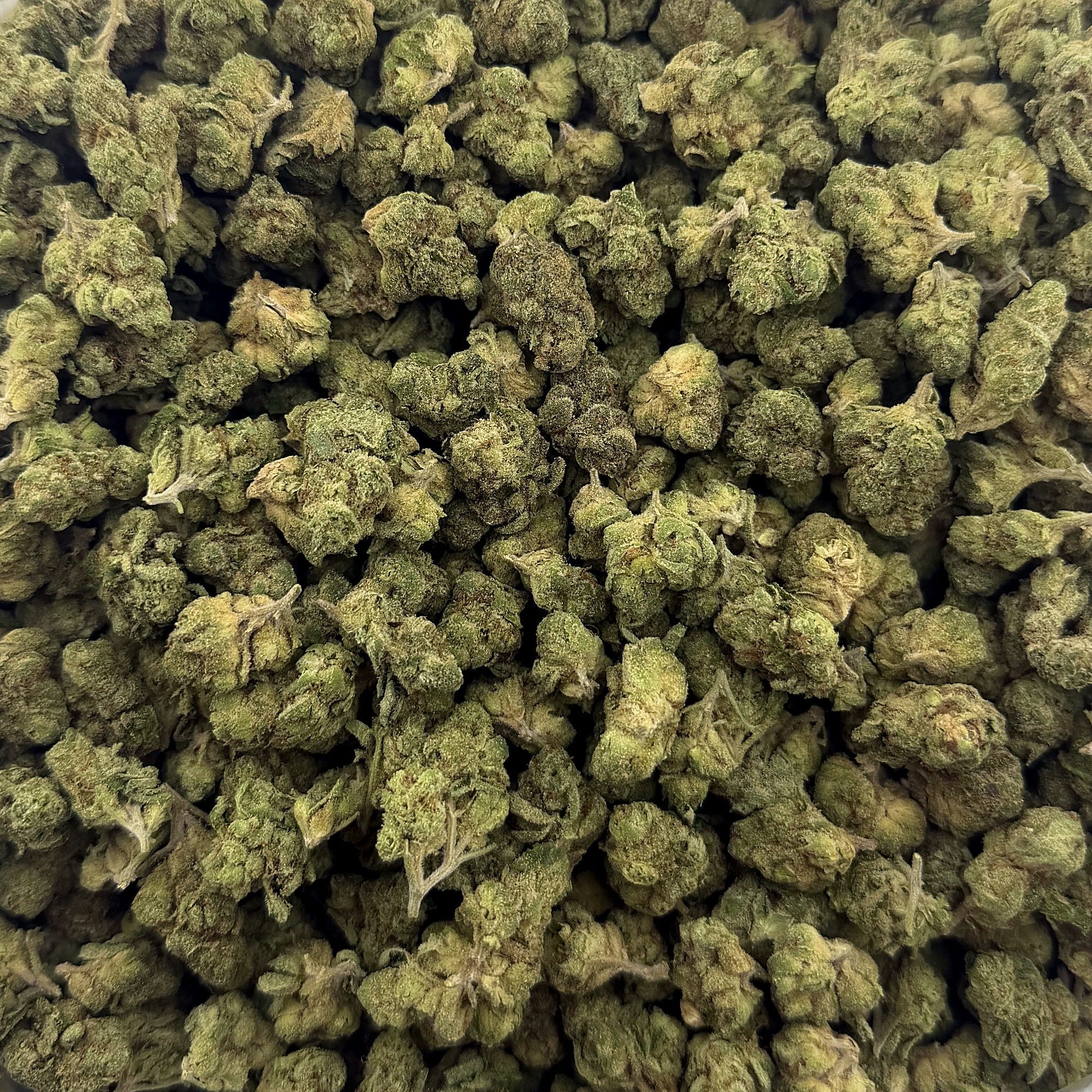 Rainbow Runtz smalls THCA flower — premium