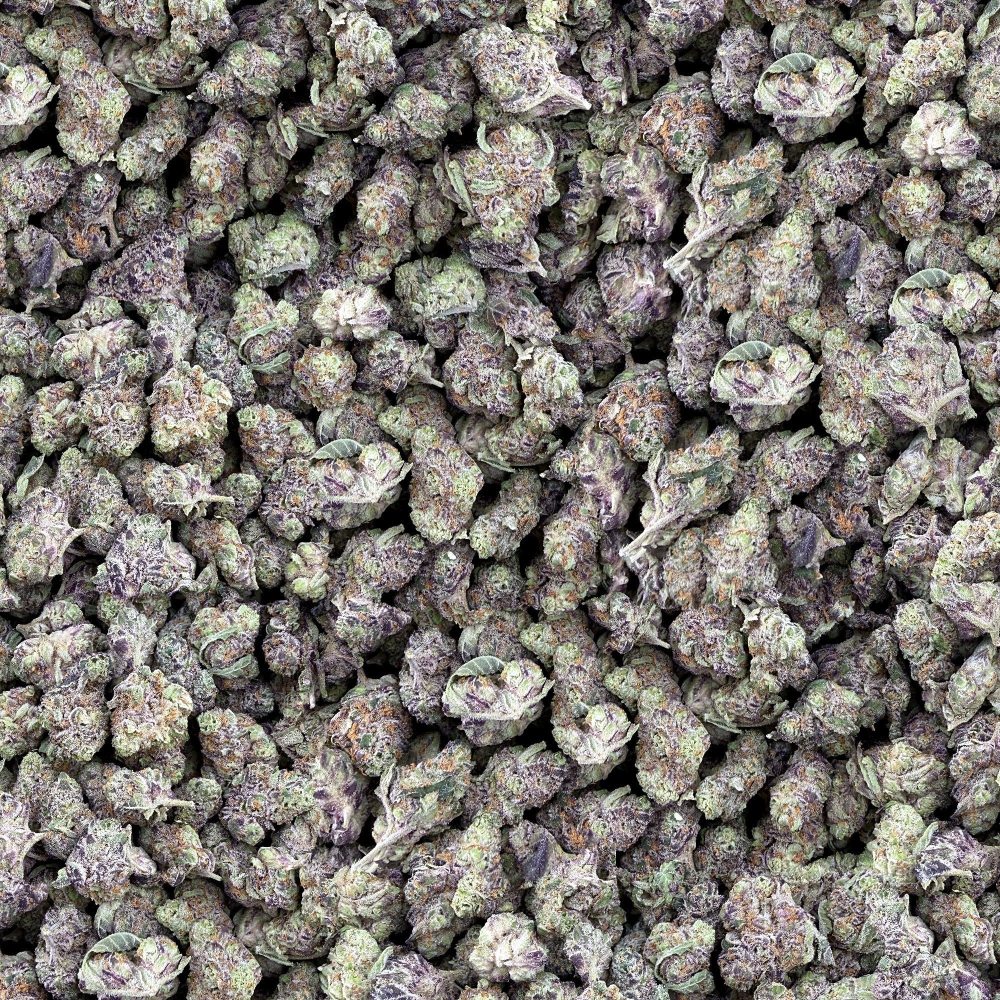 Sunday Brunch smalls THCA flower — boutique craft indoor, bulk